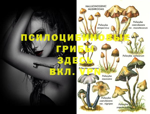 ПСИЛОЦИБИНОВЫЕ ГРИБЫ Мегион