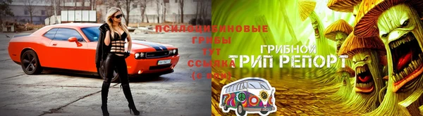 винт Медвежьегорск