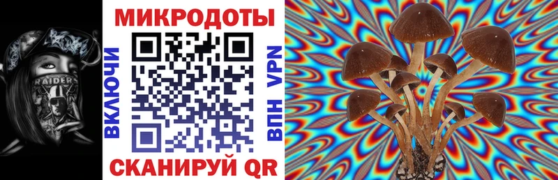 Галлюциногенные грибы мицелий  маркетплейс наркотические препараты  Владимир  купить  