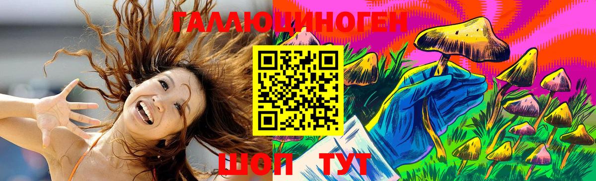 Галлюциногенные грибы MAGIC MUSHROOMS  Галлюциногенные грибы GOLDEN TEACHER  Владимир  Вход с VPN 