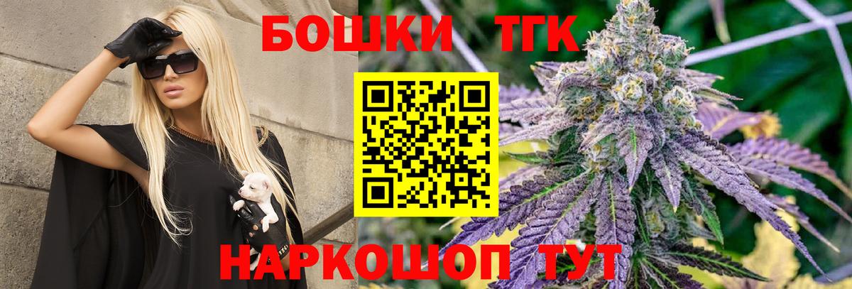 Бошки Шишки планчик Владимир